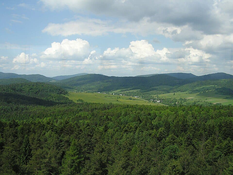 Zyndranowa Schronisko - Jaśliska