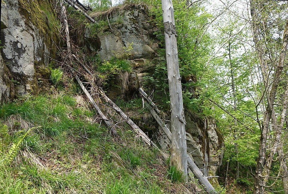 Radziechowy - Hala Radziechowska