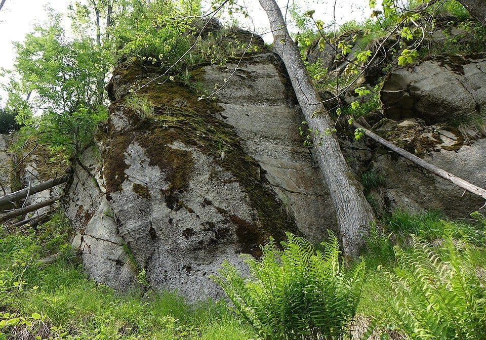 Rezerwat przyrody Kuźnie