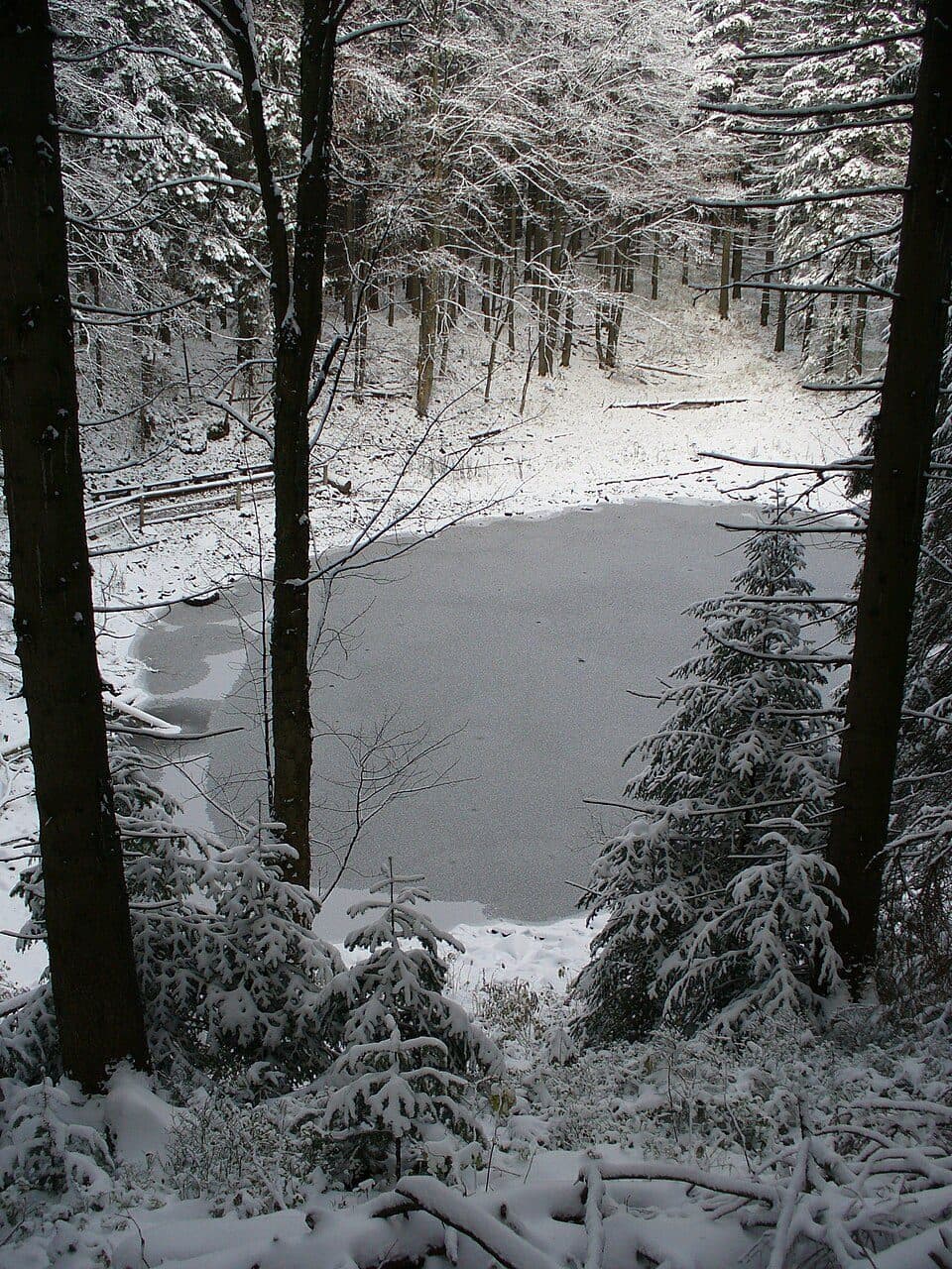 Szkolnikowe Rozstaje - Perć Przyrodników