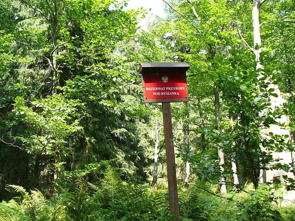 Rezerwat przyrody Pod Rysianką