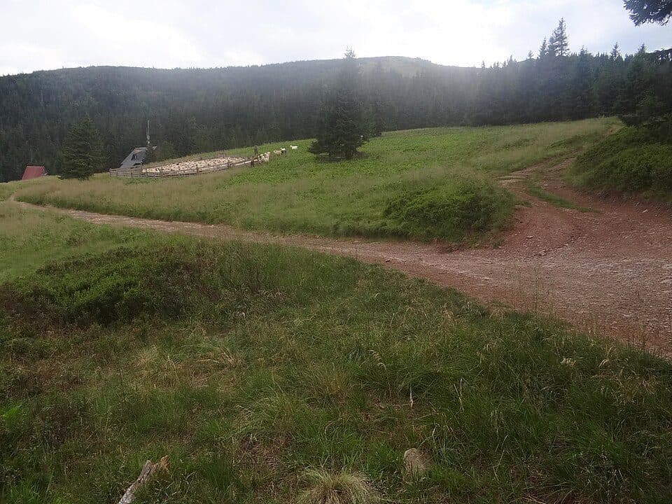 Przełęcz Przysłopy - Uszczawne