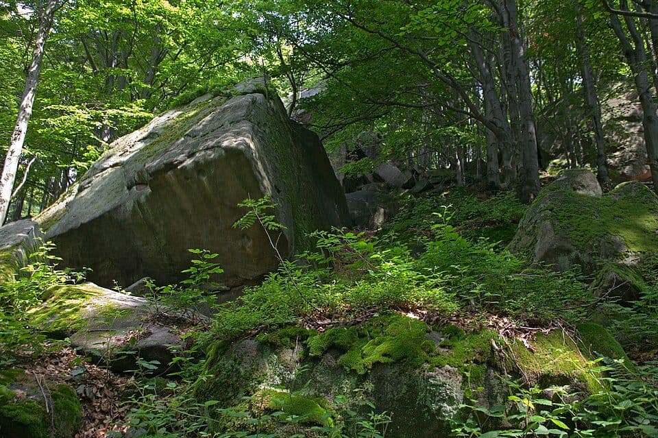 Rezerwat przyrody Kornuty