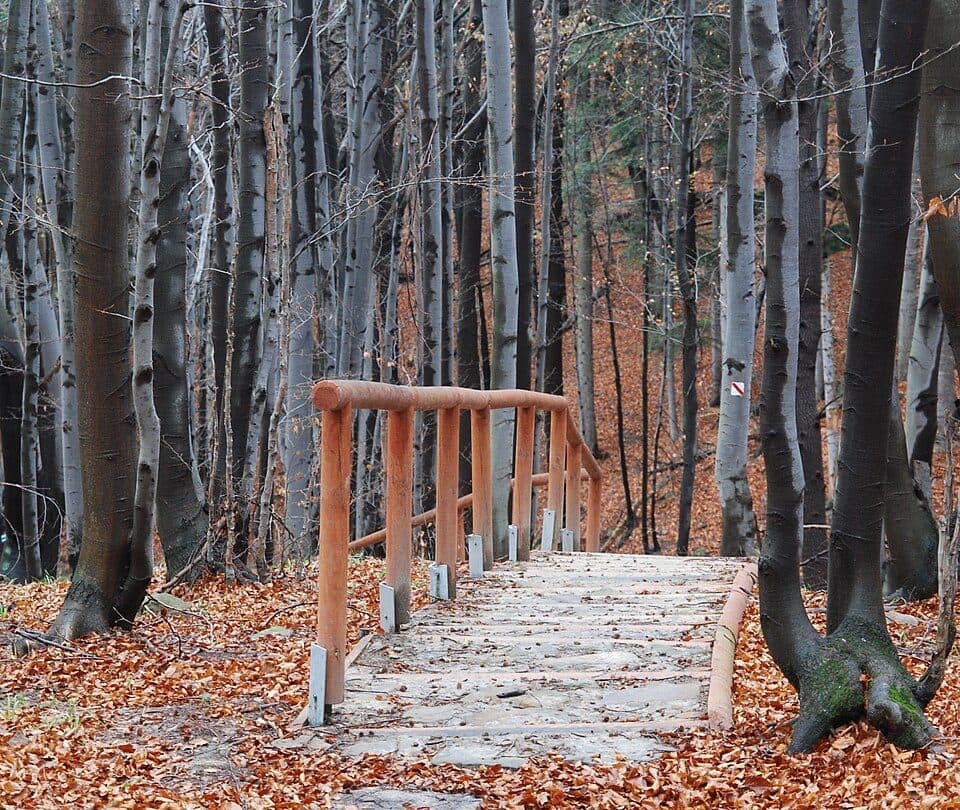 Magurski Park Narodowy — zdjęcie 3