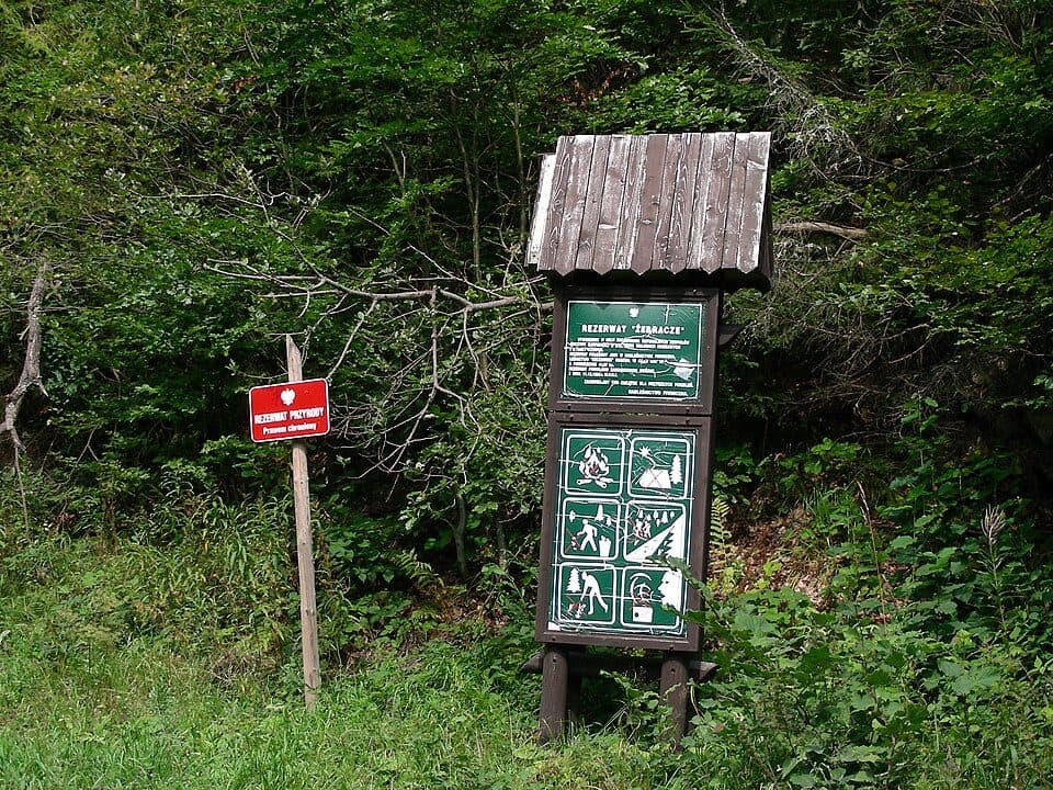 Rezerwat przyrody Żebracze