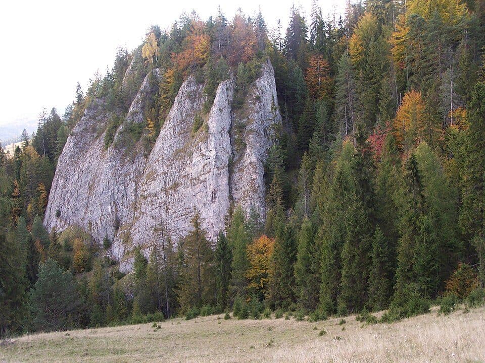 Jaworki – przełęcz Rozdziela