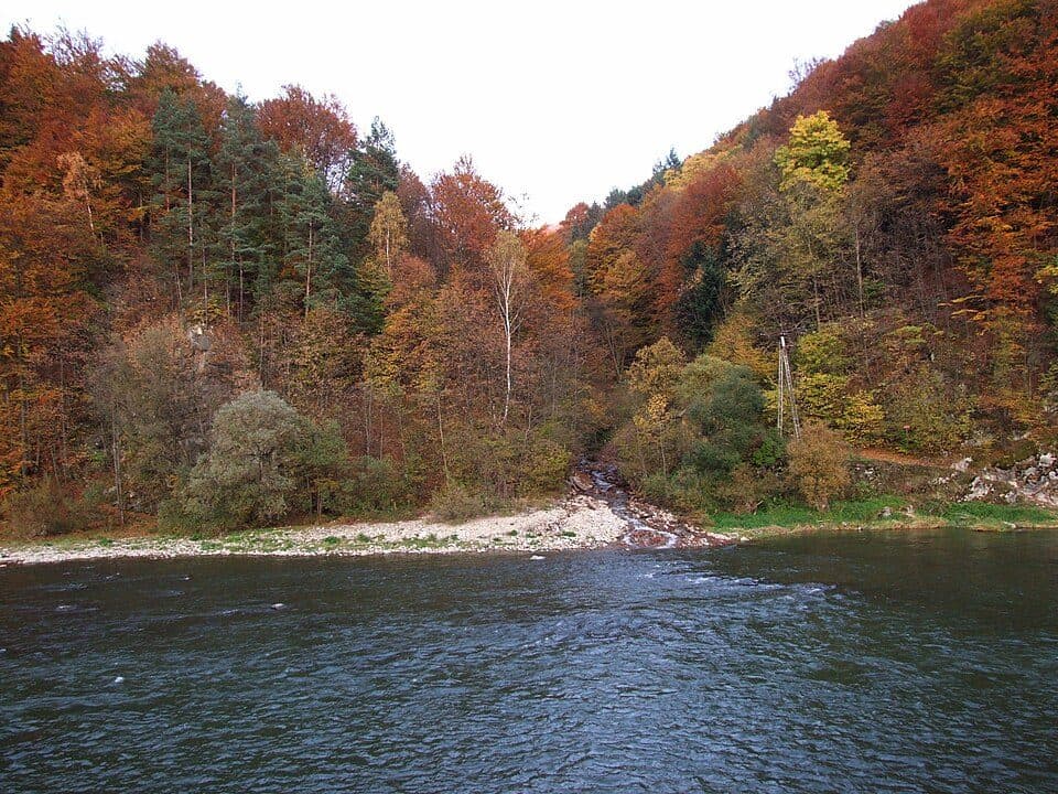 Rezerwat przyrody Kłodne nad Dunajcem