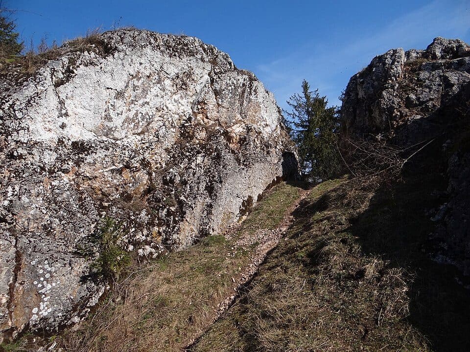 Rezerwat przyrody Skałka Rogoźnicka