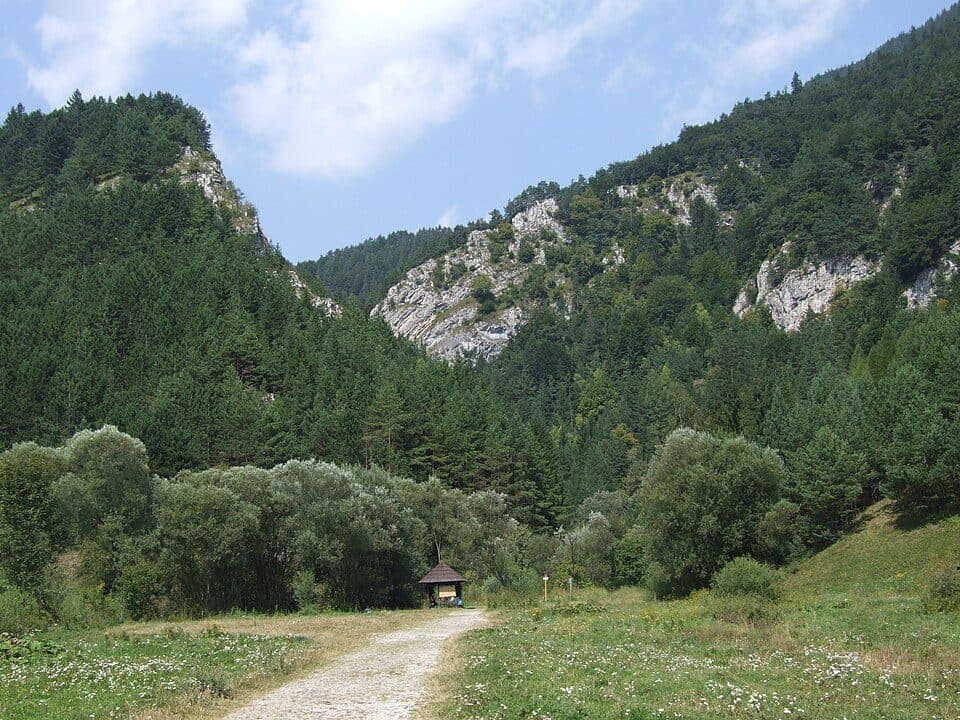 Dolina Prosiecka — zdjęcie 2