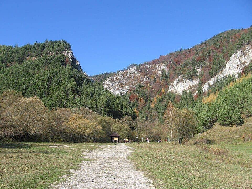 Dolina Prosiecka