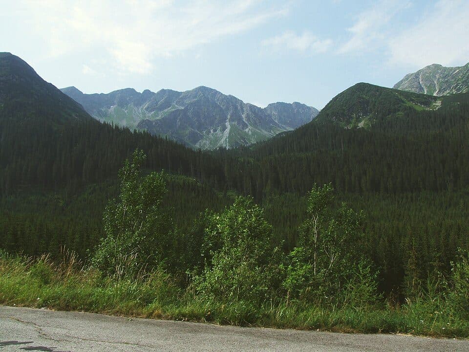 Adamcuľa - Roháčské plesá