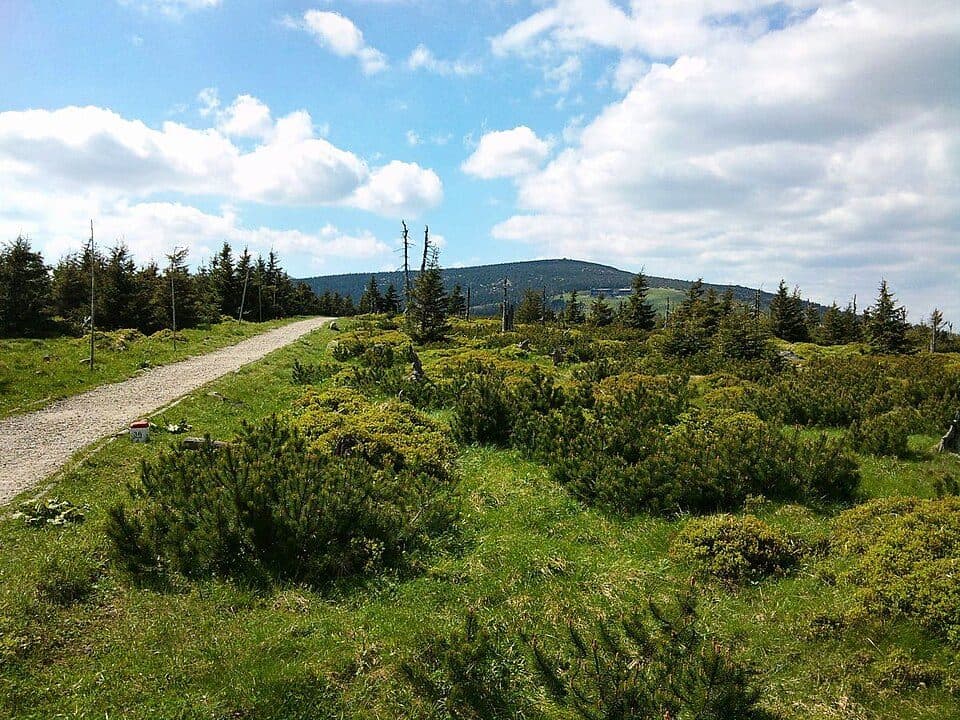 Karkonoski Park Narodowy (czeski) — zdjęcie 2