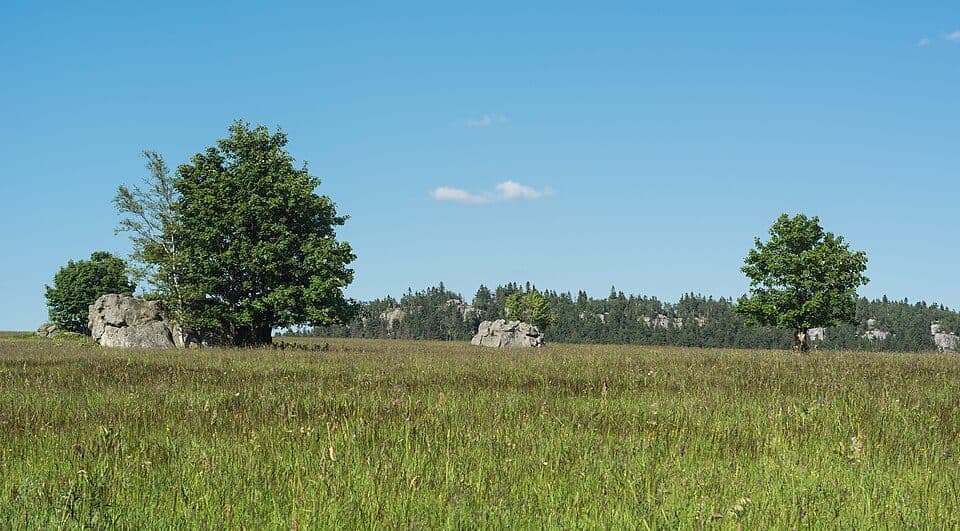 Szlak żółty