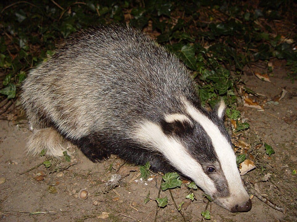 4220