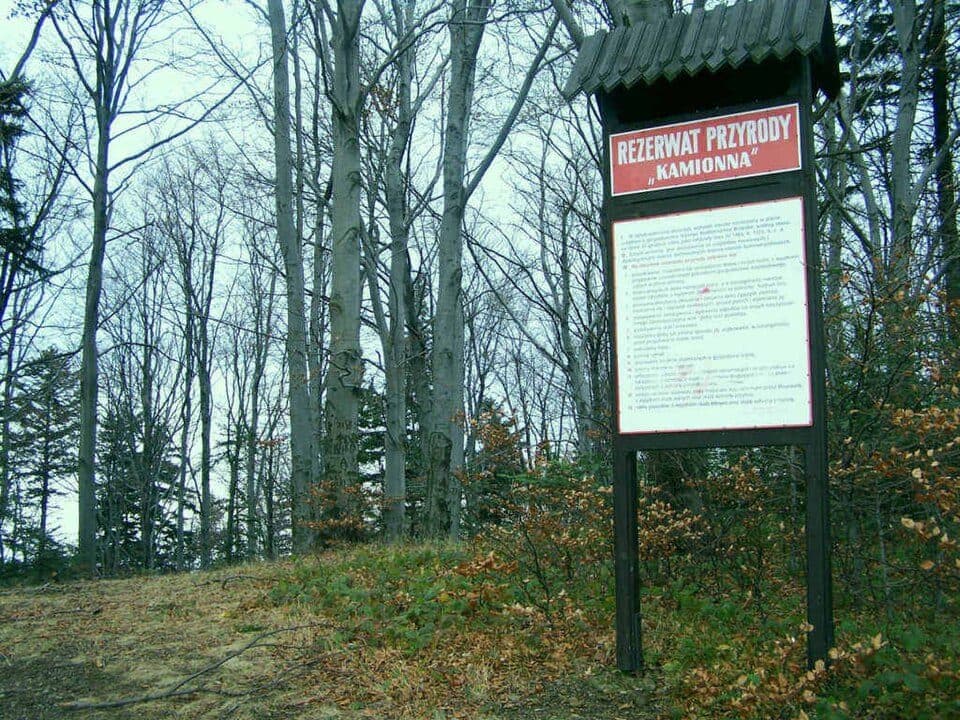 Rezerwat przyrody Kamionna