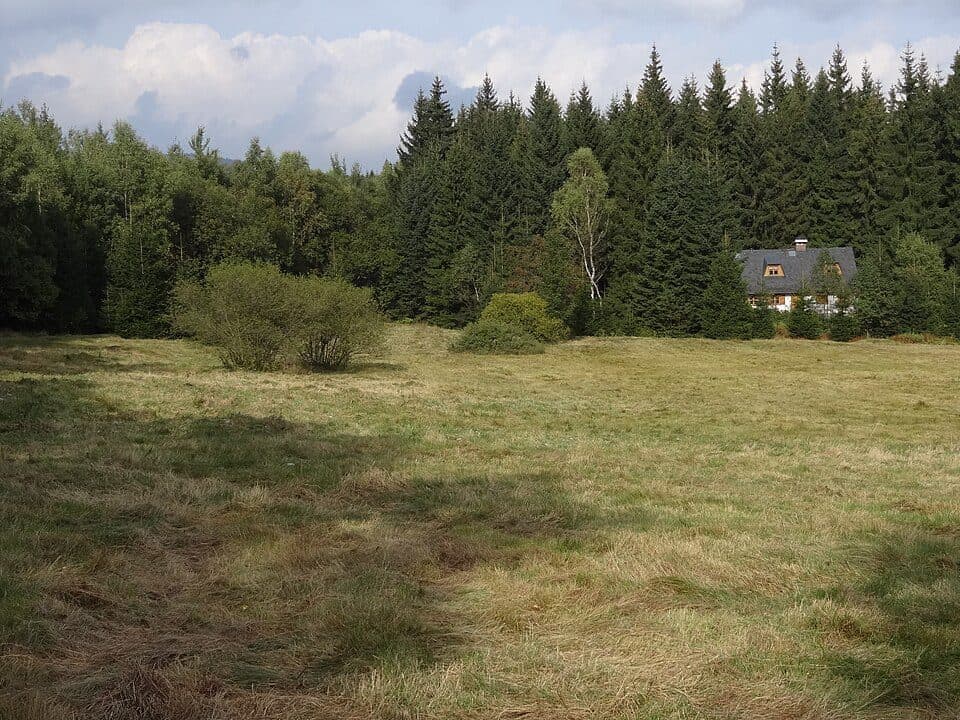 [Z] Blatný rybník - Kristiánovská cesta