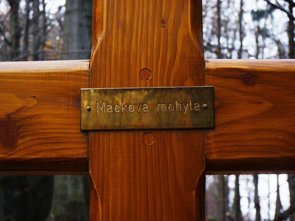 [M] Hejnice - Hřebenový buk