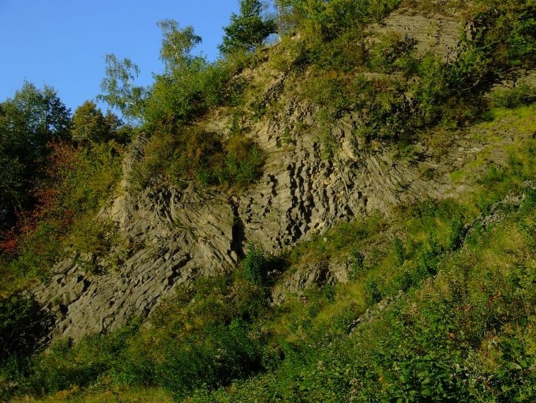 Rezerwat przyrody Wilcza Góra
