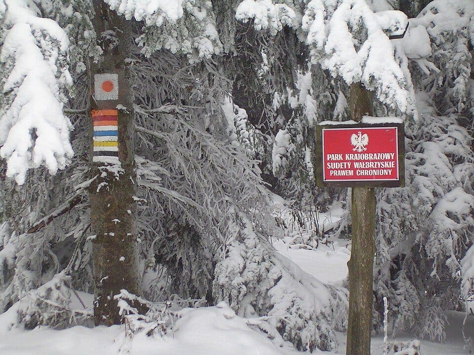 Park Krajobrazowy Sudetów Wałbrzyskich — zdjęcie 3