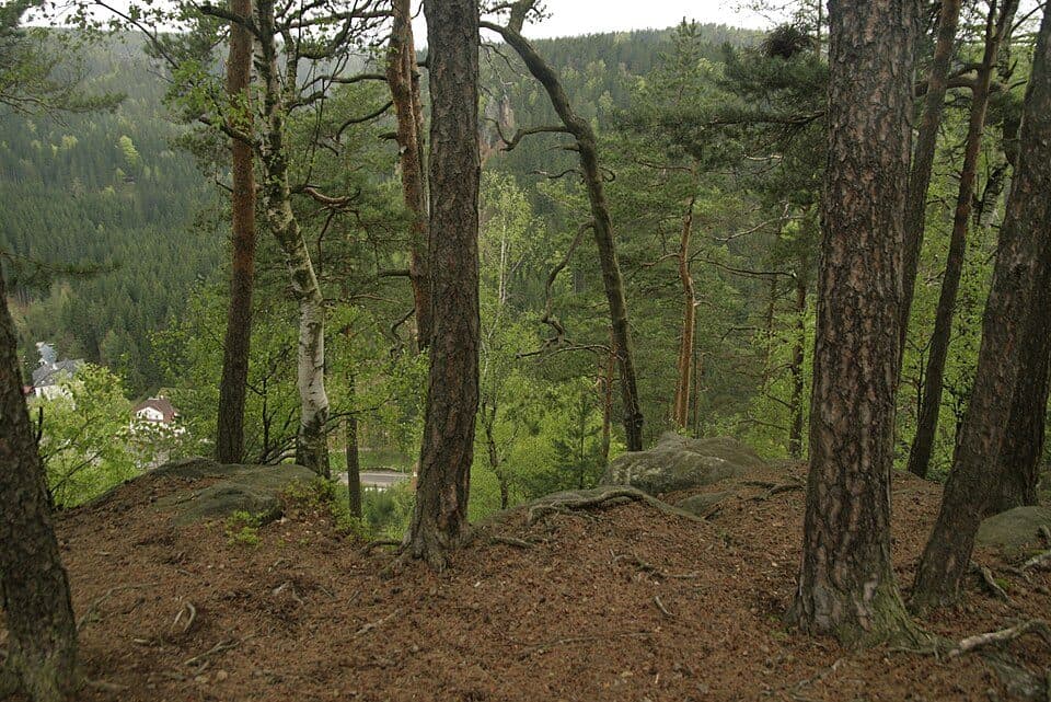 [M] Teplické skalní město - Teplice nad Metují žst.