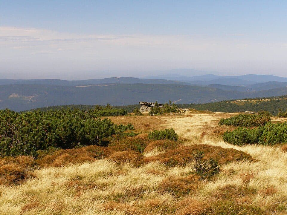 Praděd (národná prírodná rezervácia) — fotografia 3