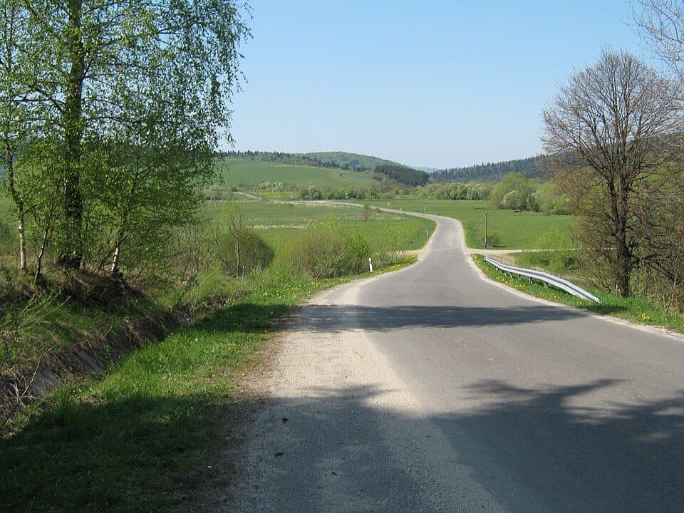 Ożenna - Las Roztoki