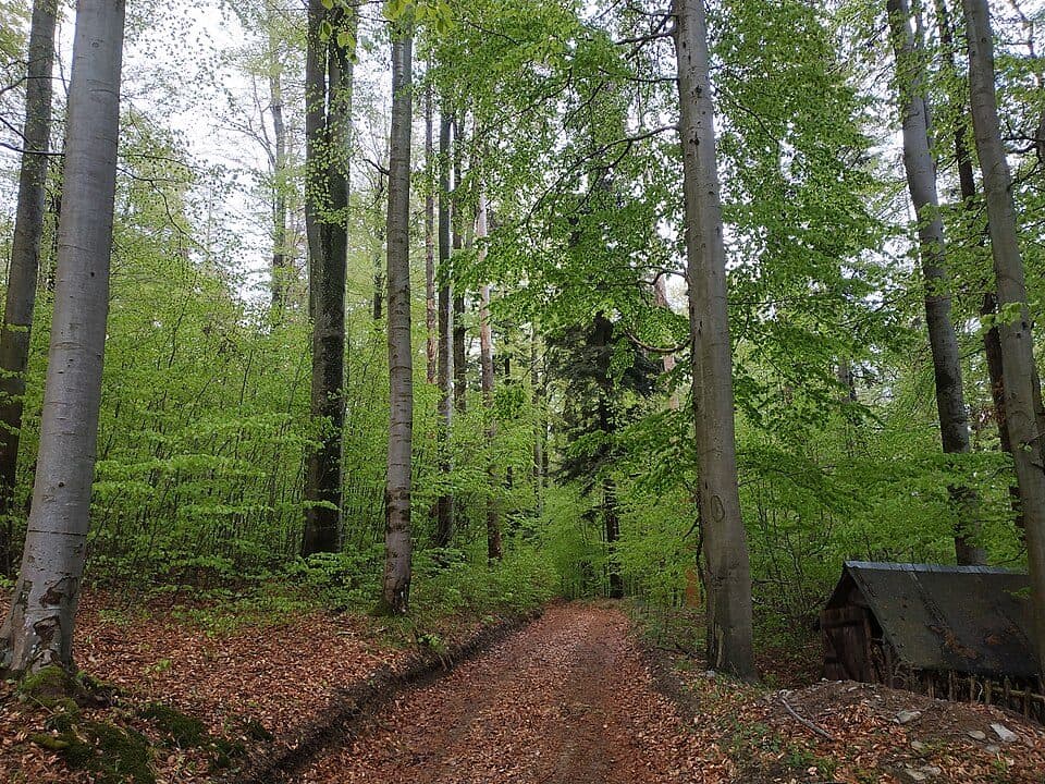 PR Karlovice - sever