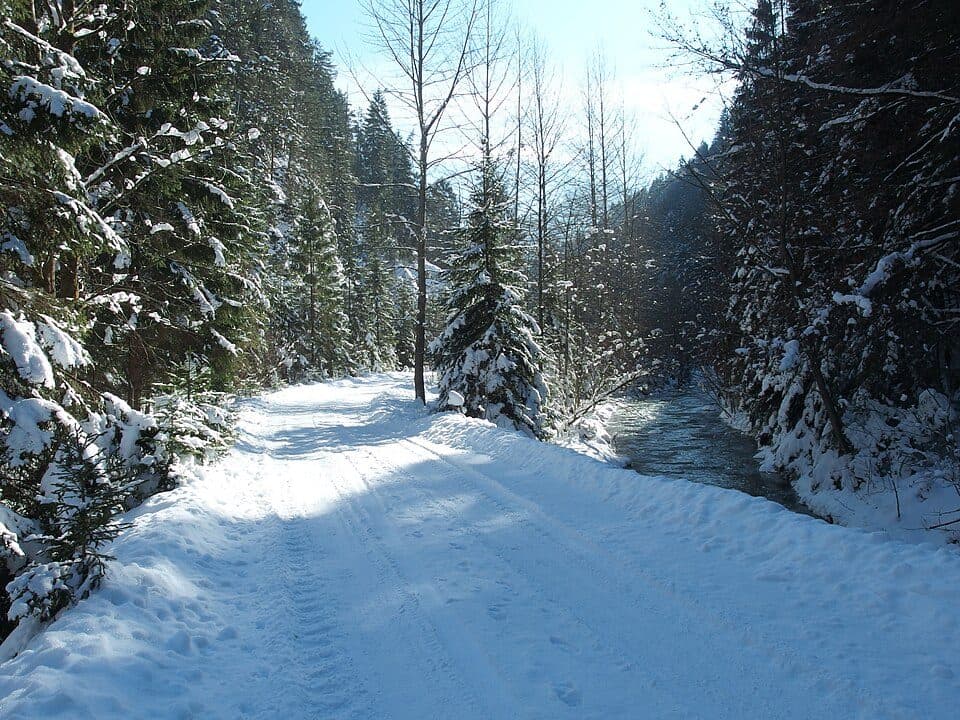 Necpaly - Chyžky