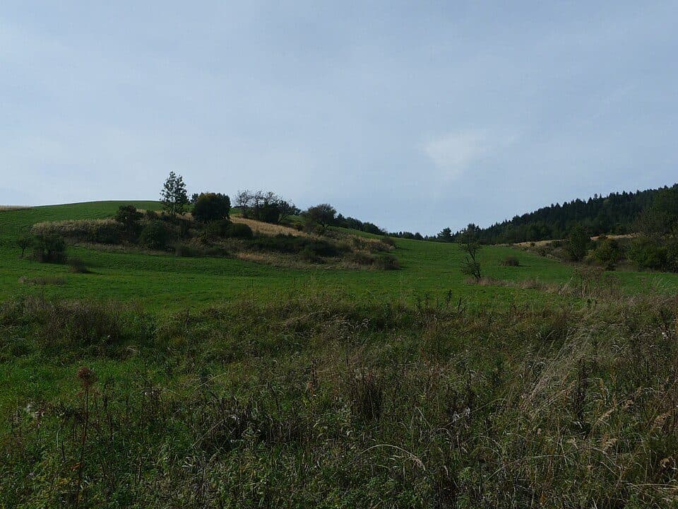 Przybyszów (województwo podkarpackie)