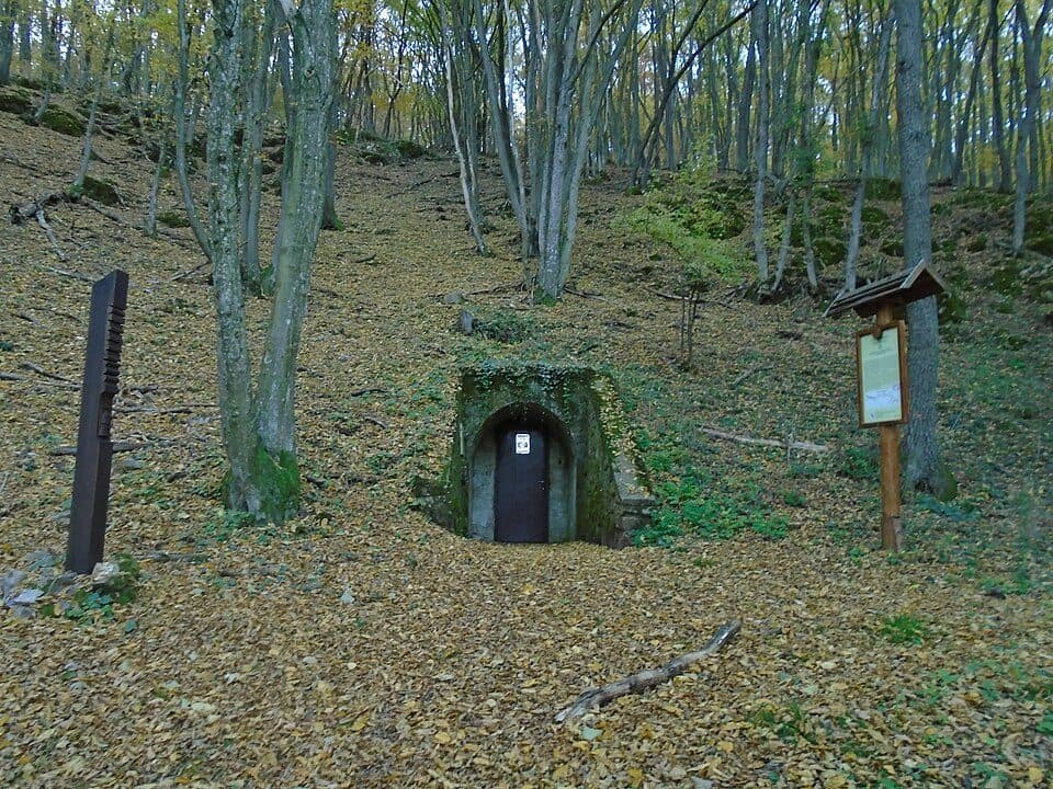 Tohonya – Kuriszlán tanösvény