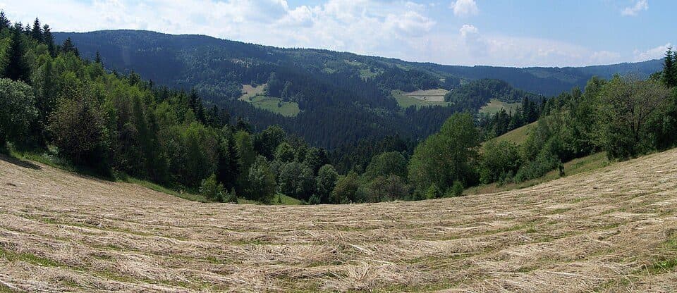 Szlak Chatkowy "Magóry"