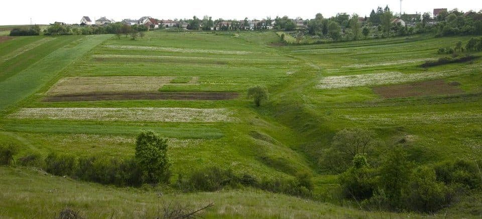 Jaskinia Baradla — zdjęcie 2