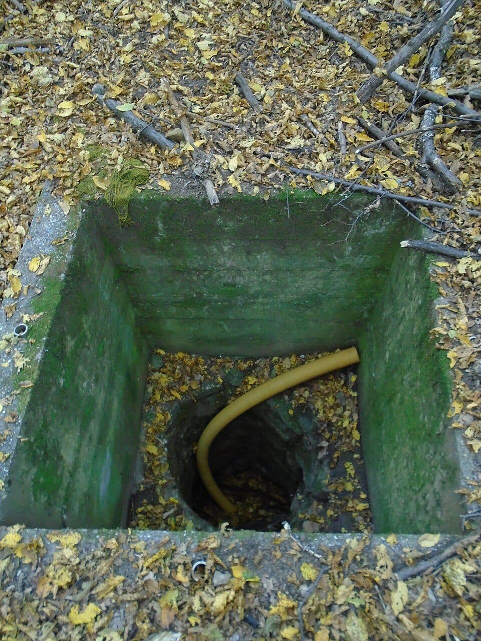 Tohonya – Kuriszlán tanösvény (rövidítés)