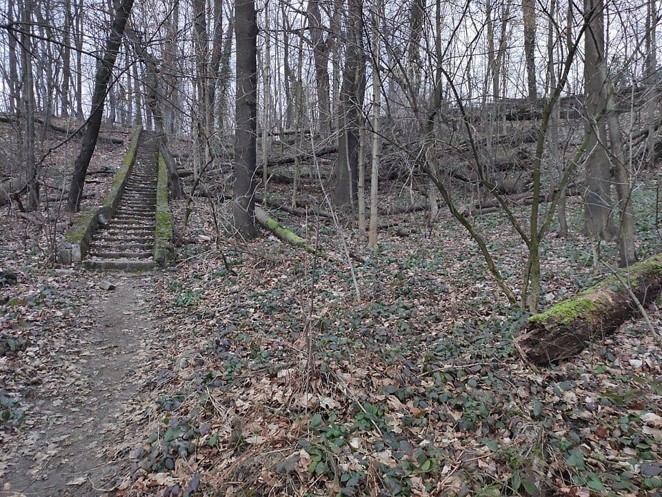 Trasa spacerowa osiedlowa