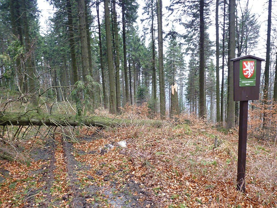 Ropice (prírodná rezervácia)