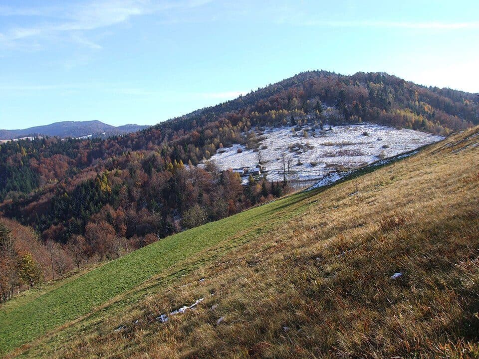 Modyń - Szafranówka