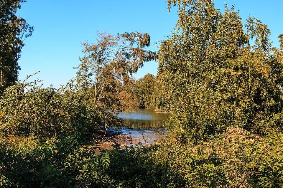 Stržský rybník — zdjęcie 2