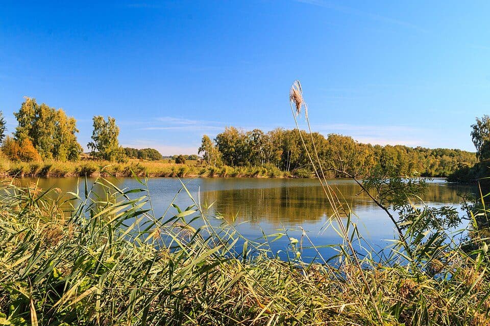 Stržský rybník — zdjęcie 3