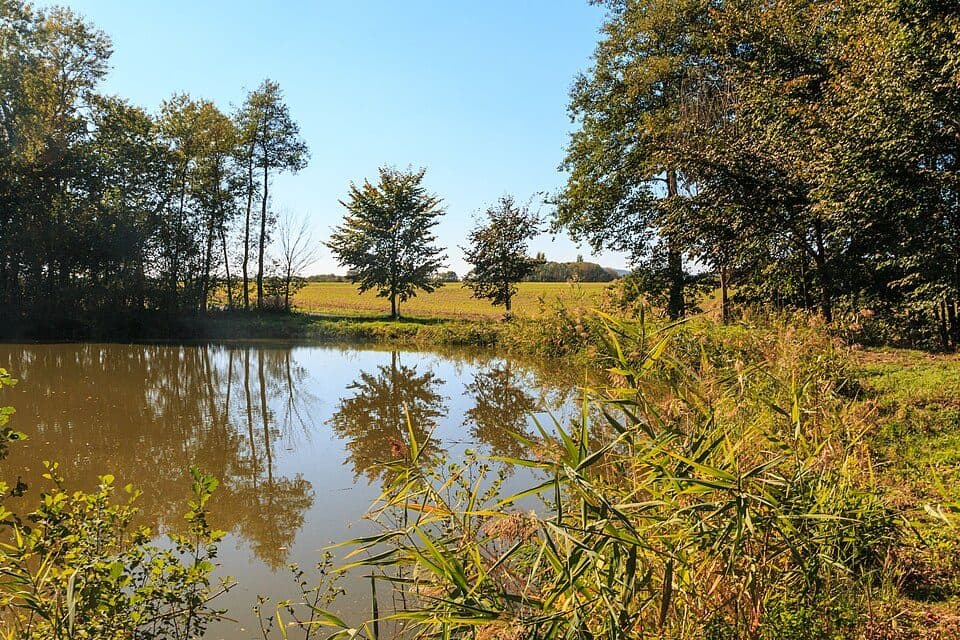 Havránek