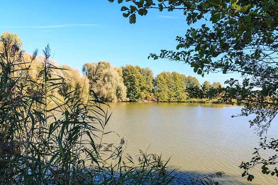 Býčinský rybník — zdjęcie 2