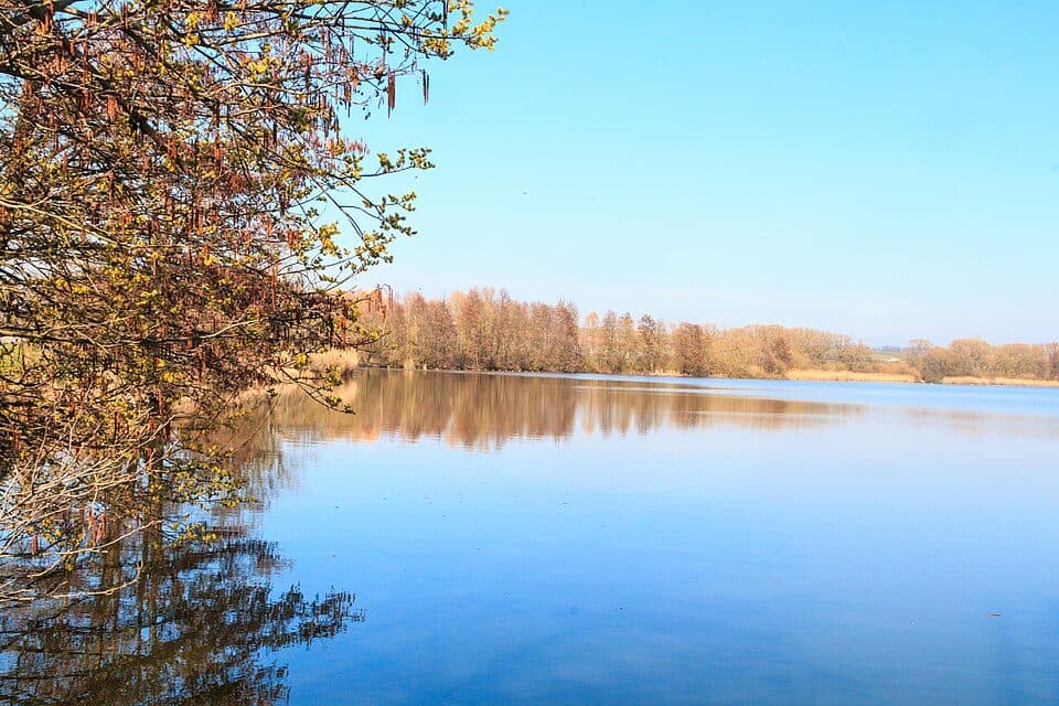 Červenský rybník — zdjęcie 2