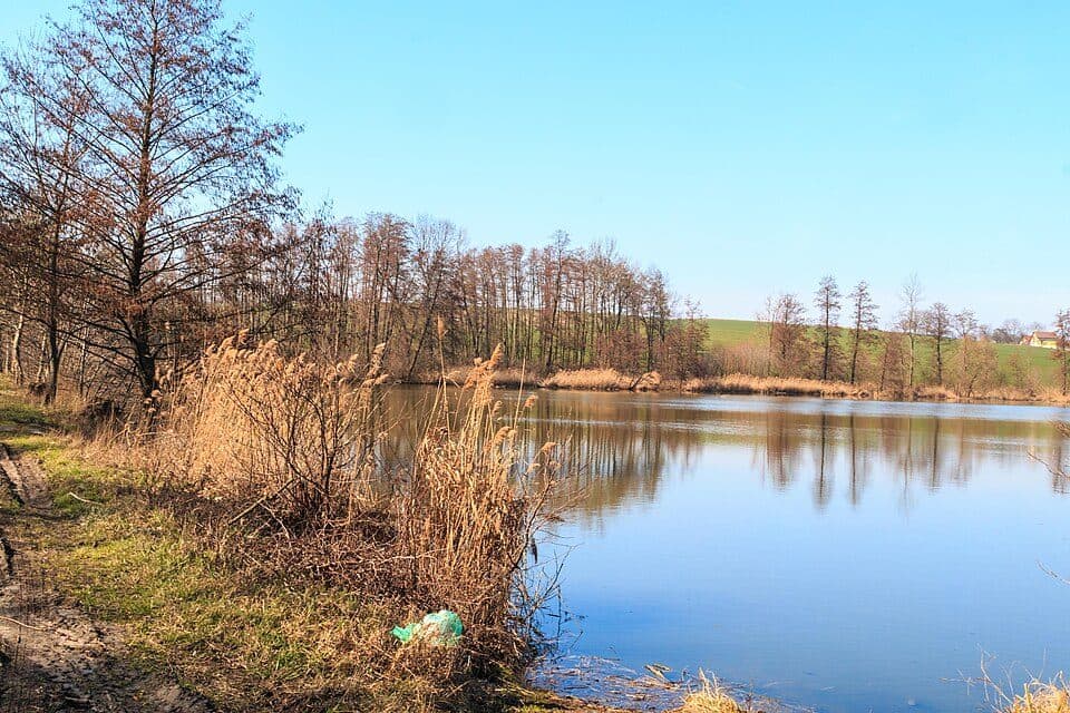 [Ž] Sobotka - Libošovice - Kost - Sobotka (žst.)
