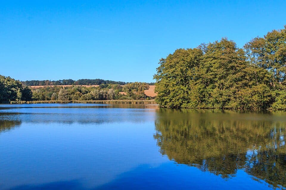 Buškovský rybník — fotografie 2