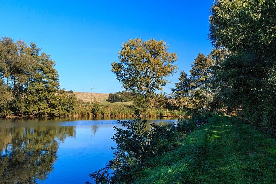 Buškovský rybník — fotografie 3