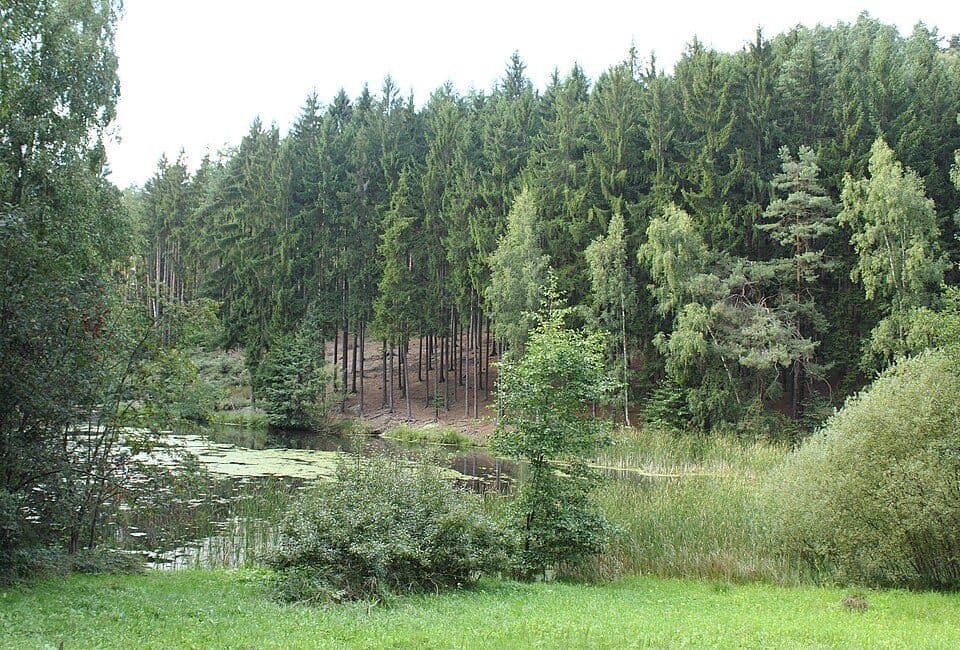 Vústra — zdjęcie 2