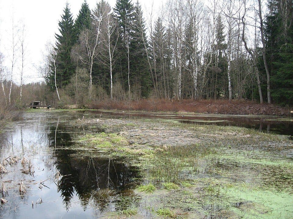 Malá Strana — zdjęcie 3