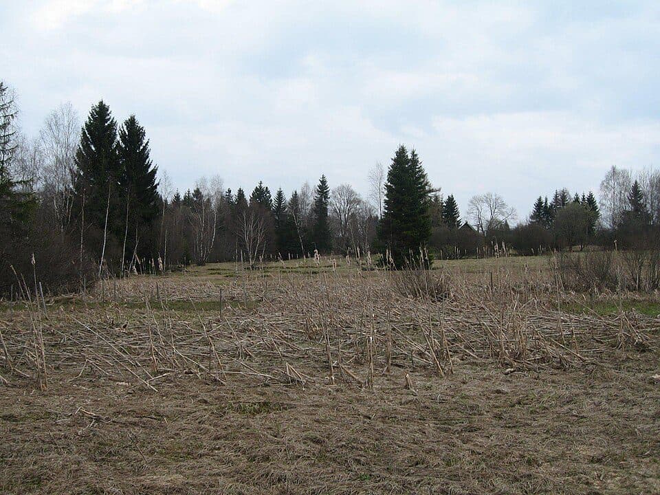 Malá Strana — zdjęcie 2