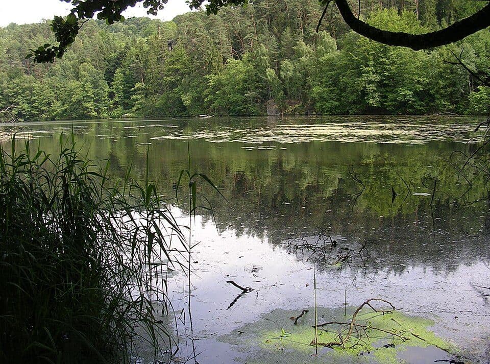 Podtrosecká údolí Nature Reserve — photo 2
