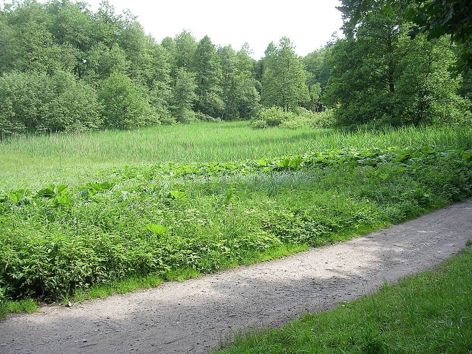 Podtrosecká údolí Nature Reserve — photo 3