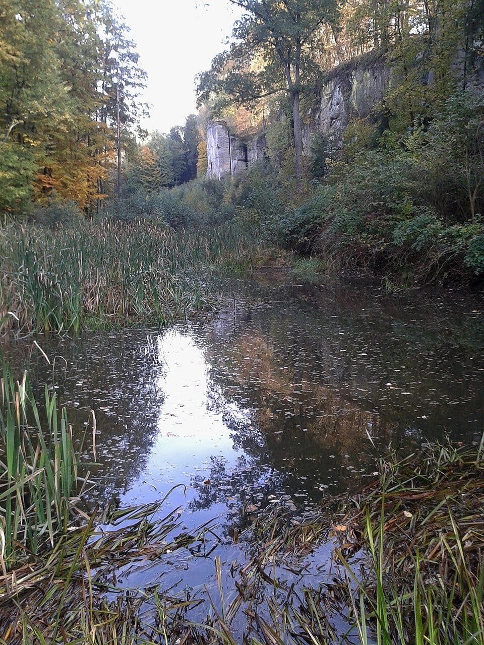 přírodní památka Borecké skály — zdjęcie 3